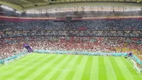 季末垂钓乐，小鱼季末亦精彩