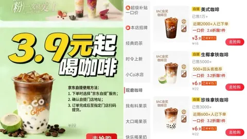 德甲焦点对决开云全站服务：弗赖堡云达不莱梅深度解析